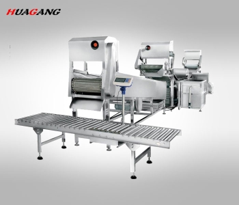 全自動(dòng)大型連續(xù)式葉菜類清洗線