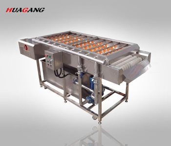 毛發(fā)去雜清洗機(jī)