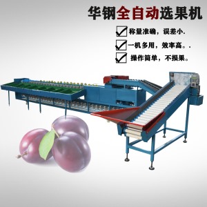 小型自動上果分選機